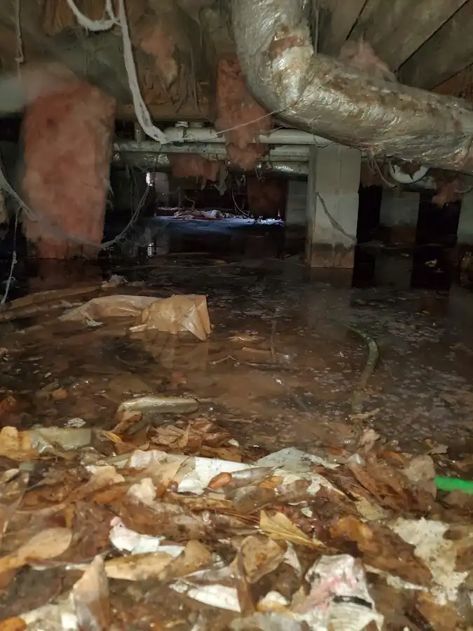 Crawl space flood assessment for Leak Detection & Repair in Bethany